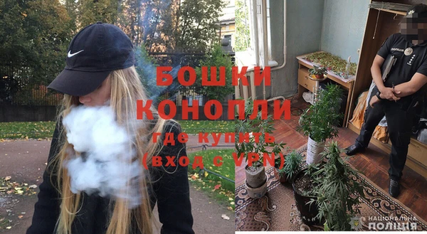 крисы Майский